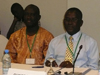 Bamako Conference 2011