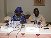 Bamako Conference 2011