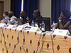 Bamako Conference 2011