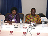 Bamako Conference 2011